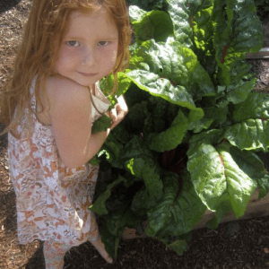 Screenshot 2014-03-30 20.28.07